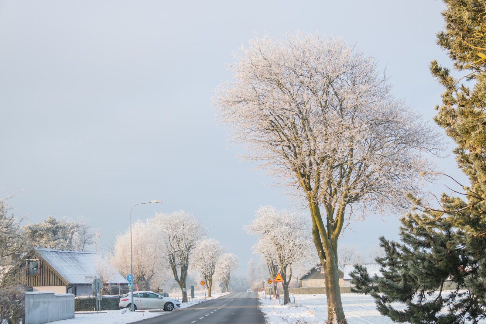paesaggio, cielo, la neve, inverno, strada, ramo, mattina, brina, primavera, Brina, Congelamento, albero, scenario, fiore, tempo metereologico, pianta, stagione, himmel, Vinter, tr d, Landskap, vag, rimfrost, tre, fenomeno atmosferico, pianta legnosa