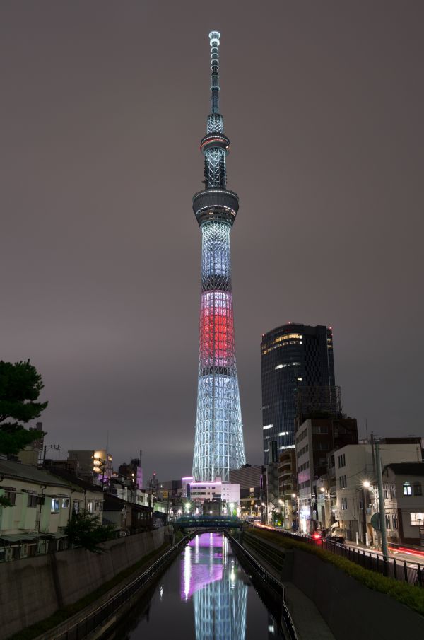 Japan,city,cityscape,night,architecture,reflection