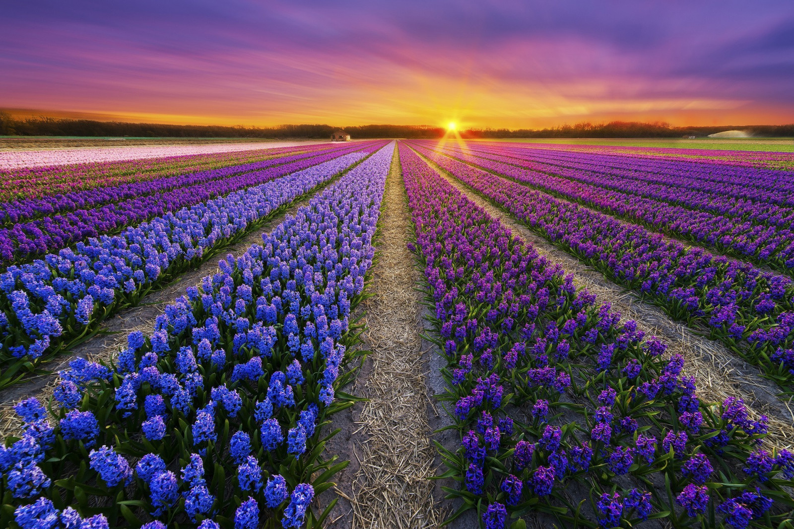  1920x1280 1920x1280 CoolWallpapers 1039501 