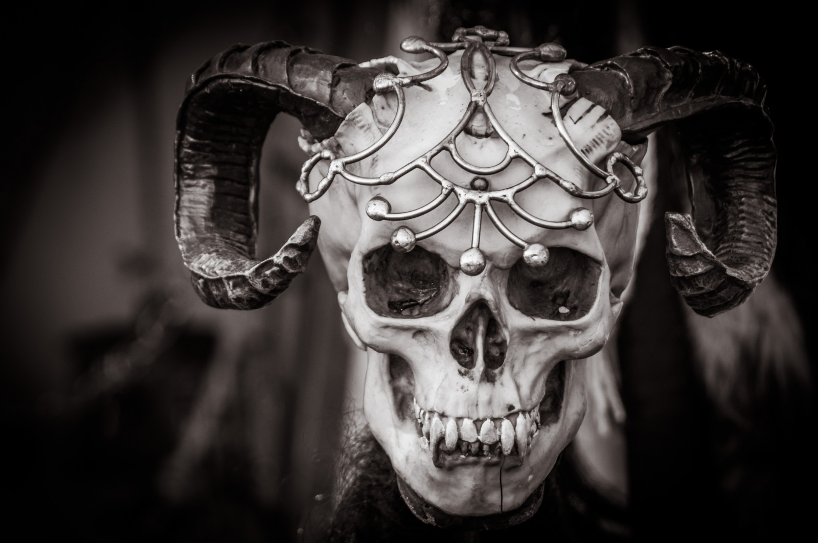 černobílý, fotografování, růžky, Německo, lebka, Bavaria, 2014, tma, Černý a bílý, monochromatické fotografování, kost, temné věky, Mps, středověk, Spectaculum, Tuntenhausen, Maxlrain
