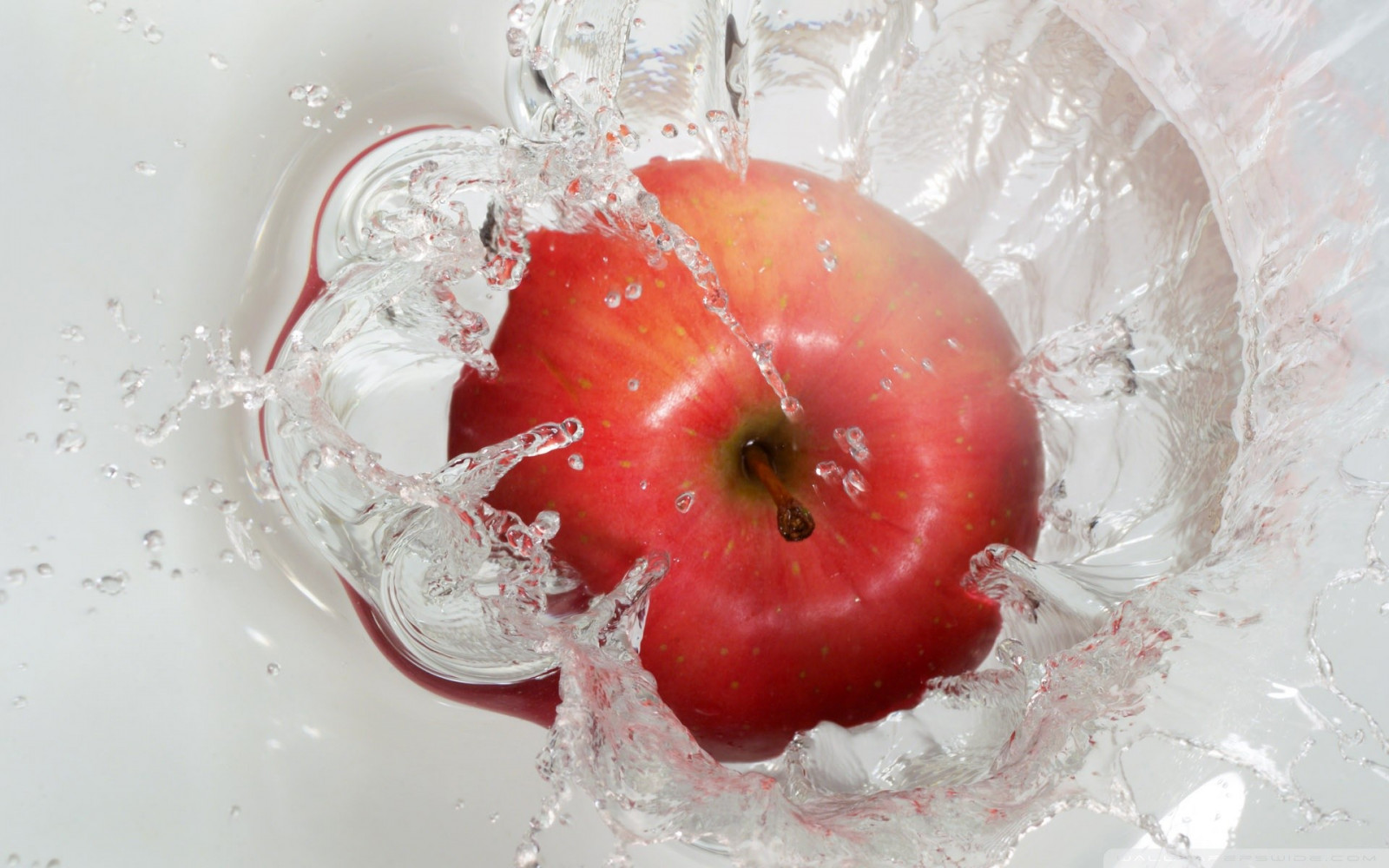 eten, water, hart-, rood, macro, fruit, appels, aardbeien, spatten, appel, bloem, fabriek, aardbei, bloemblad, tomaat, produceren, landplant, bloeiende plant, orgaan, groente, roze familie