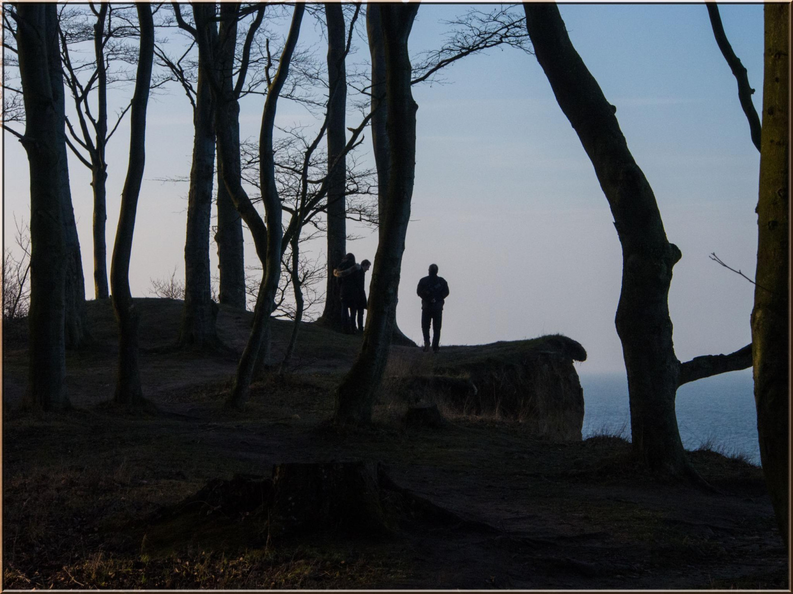 slunečnímu záření, les, Příroda, večer, ráno, Německo, pobřeží, 2015, podsvícení, strom, rostlina, deutschland, tma, Ostsee, ostseeleuchte, Baltské moře, steilk ste, steepcoast, norddeutschland, k ste, místo výskytu, přírodní prostředí, dřevina, gegenlicht, weissenh userstrand