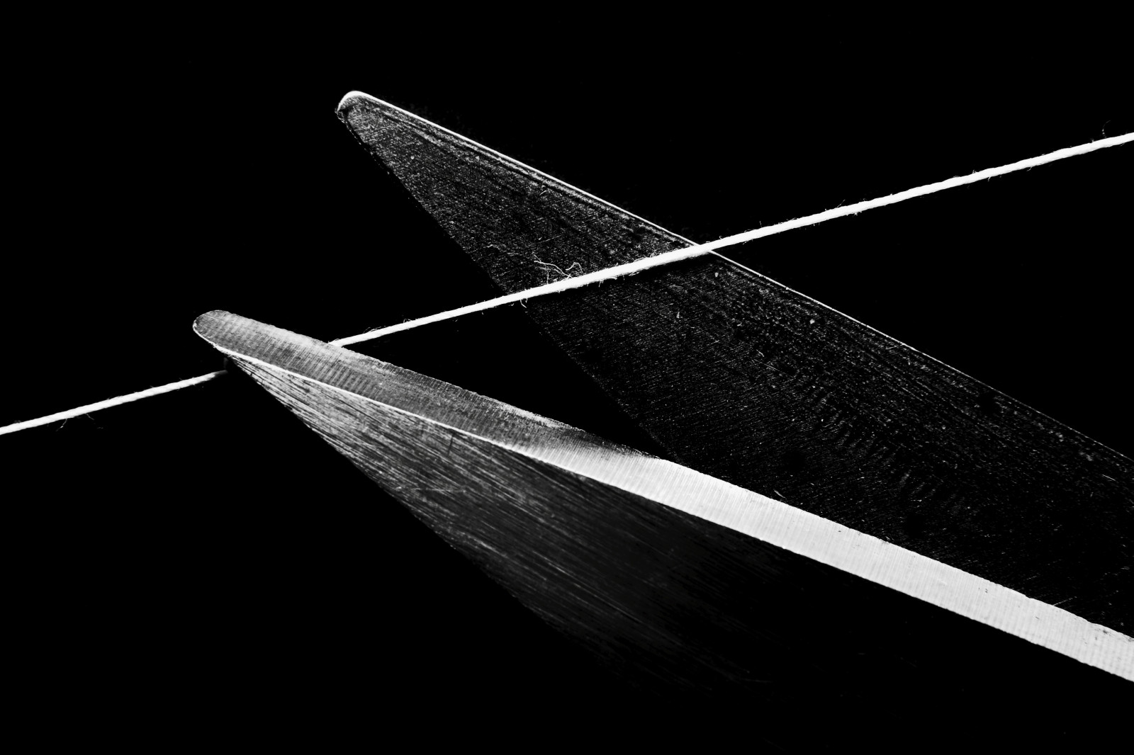 bílý, Černá, černobílý, zbraň, nůžky, luk a šíp, Noir, Černý a bílý, lowkey, tělesné, Černá bílá, čára, SW, blanc, křídlo, Schwarzweiss, noiretblanc, schwarz, noirblanc, weiss, Černý a bílý, monochromatické fotografování, einfarbig, studená zbraň, gutabgeschnitten, Schere, ciseaux, electrolitephotography, Electrolite