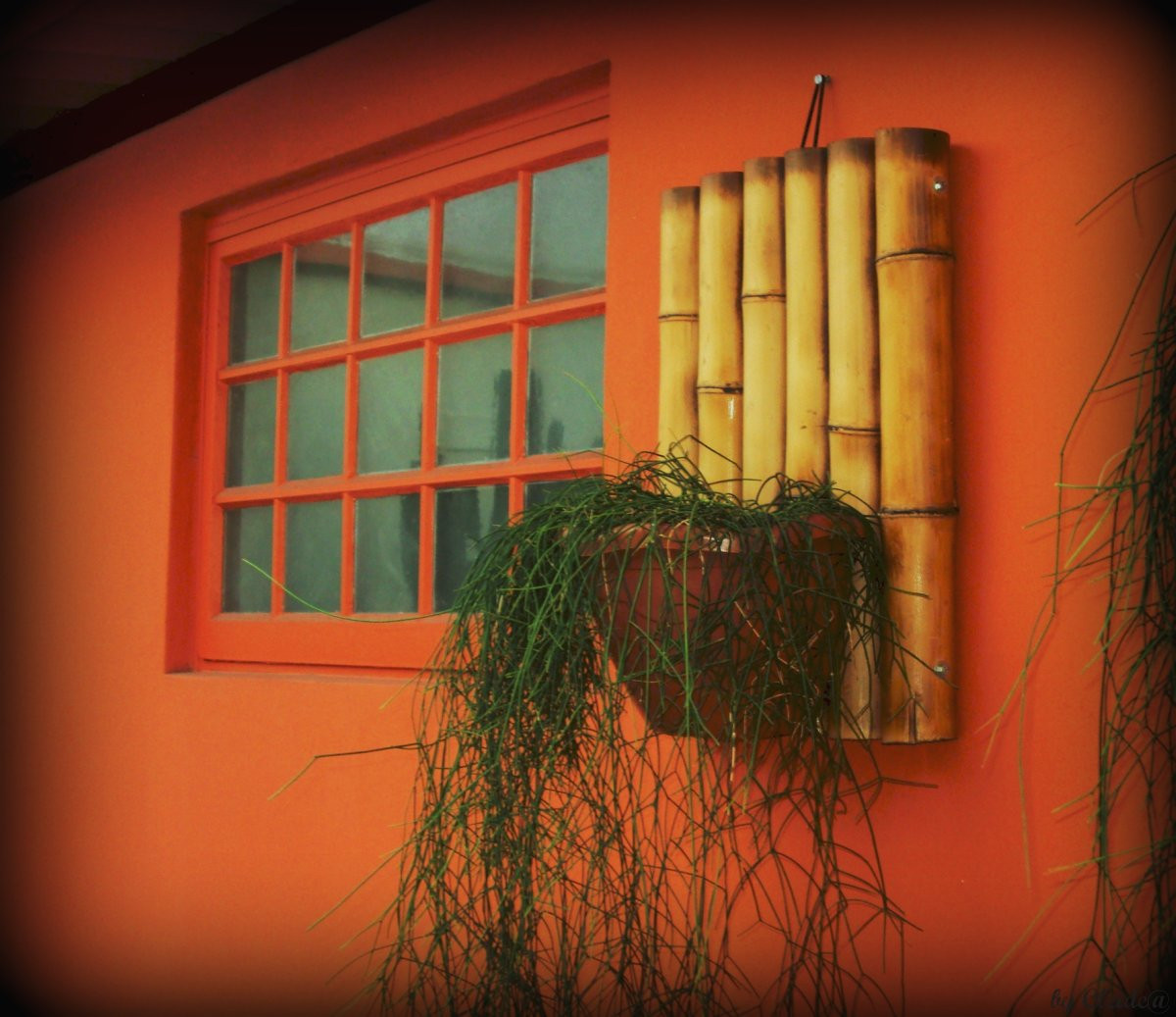 Brazílie, UMĚNÍ, okno, fotografie, manipulace, exotický, lesklý, artisticphotos, 2011, artdigital, sotn, crazygeniuses, mygearandme, mygearandmepremium, mygearandmebronze, cleide, blinkagain, stylewall, netartii