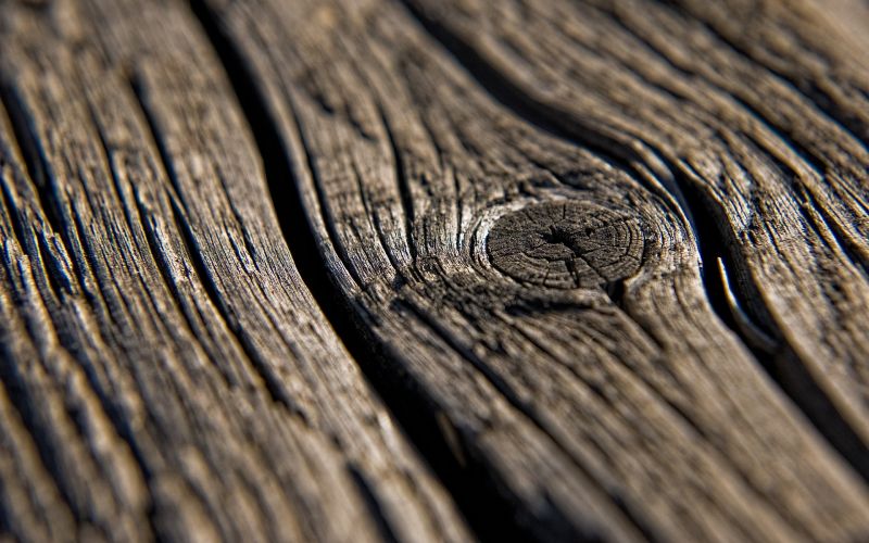 1920x1200 px, natureza, madeira, Superfície de madeira, Macro, textura 1920x1200 px, natureza, madeira, Superfície de madeira, Macro, textura
