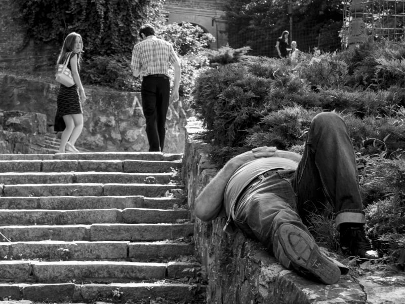 sort, fotografi, sort og hvid, træ, natur, vedplante