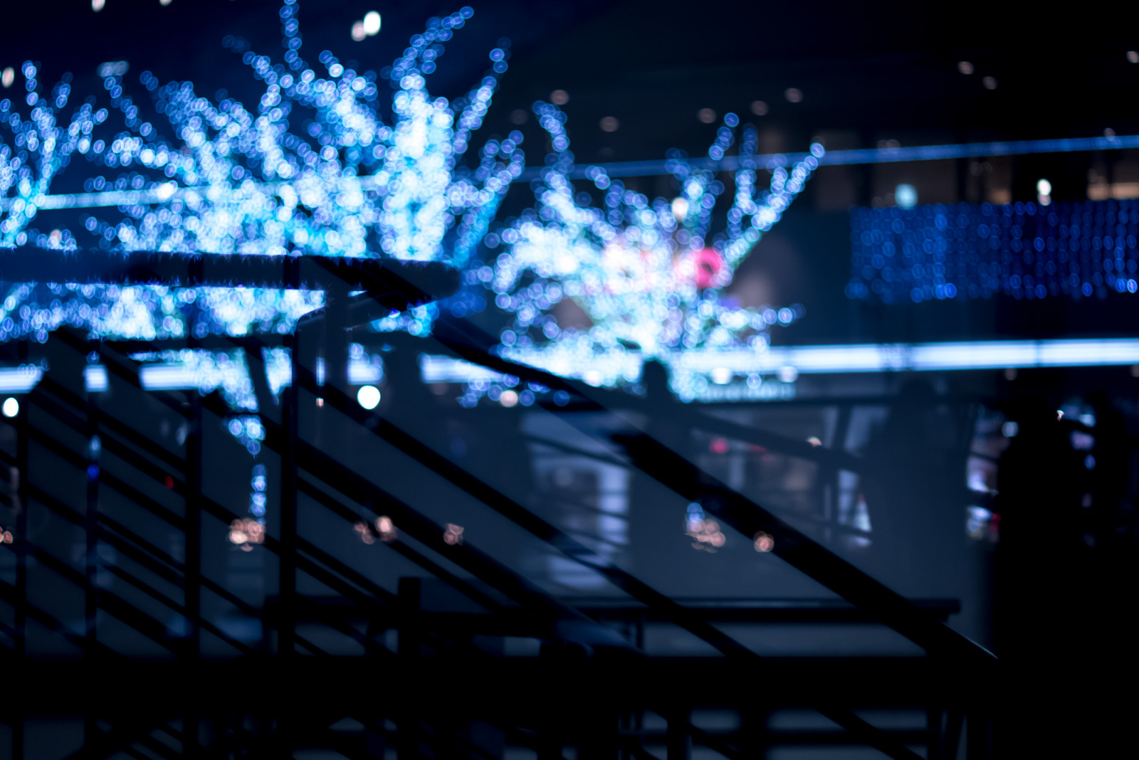 Japonsko, noc, odraz, stín, modrý, Vánoční osvětlení, Yokohama, Panasonic, F14, světlo, NIKKOR, 50mm, osvětlení, fáze, tma, lumix, Kanagawa, chicaco11, Dmcg2