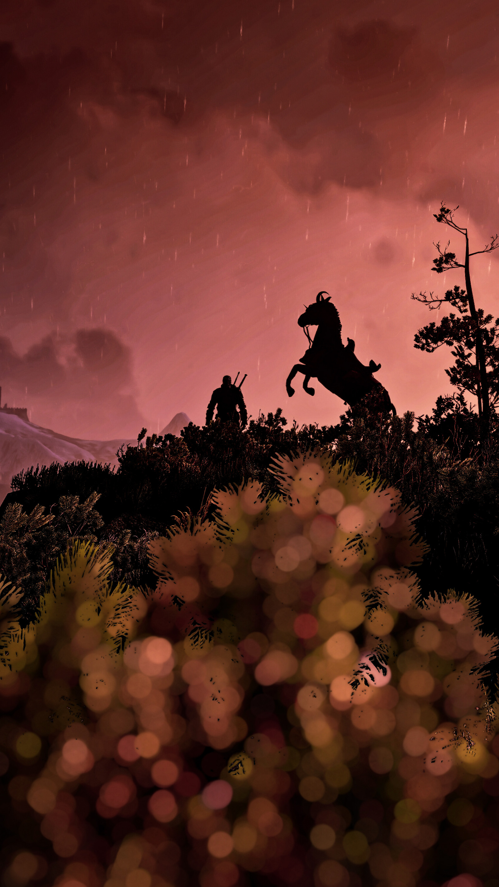 Wallpaper : The Witcher 3 Wild Hunt, The Witcher 1688x3000 - ReynBolt