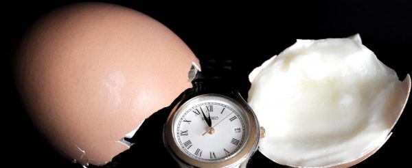 egg,boiledegg,hensegg,brownegg,eggtimer,hmm