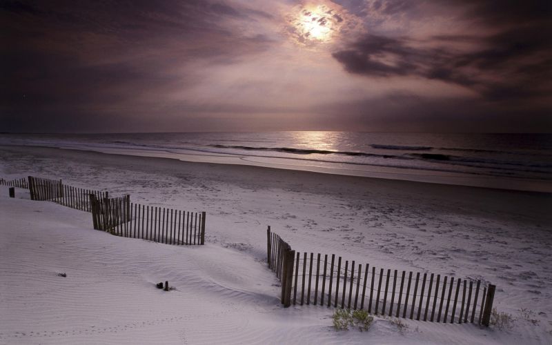 corteza de árbol,tronco de arbol,Lakes and mountains