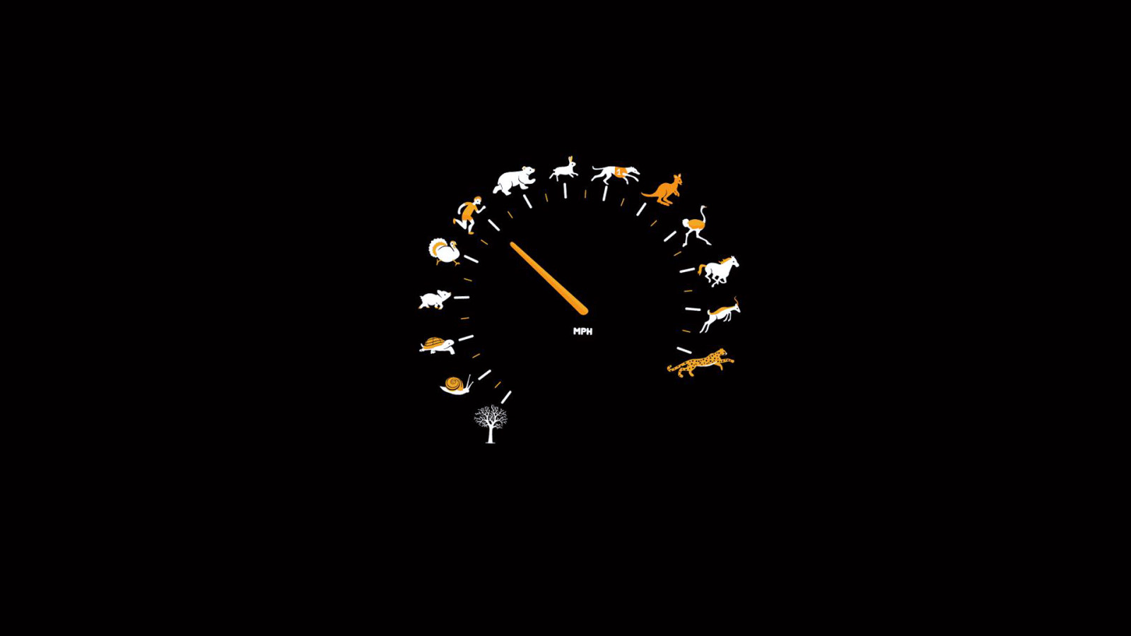 Wallpaper : 1920x1080 px 1920x1080 - CoolWallpapers - 806886 - HD ...
