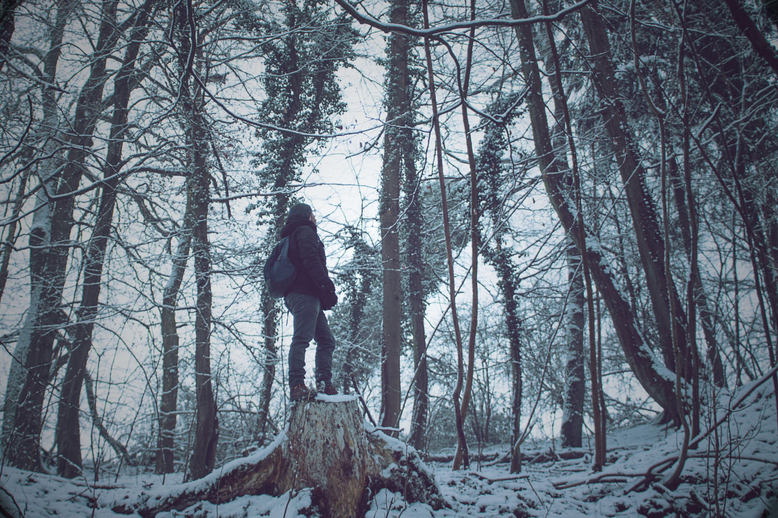 les, sníh, zima, dřevo, Kánon, divočina, Osoba, strom, počasí, široký, sezóna, super, Wald, sigma, 24mm, Schnee, mann, baum, b UME, Mensch, 700d, zálesí, místo výskytu, přírodní prostředí, atmosférický jev, dřevina, allein, 28f