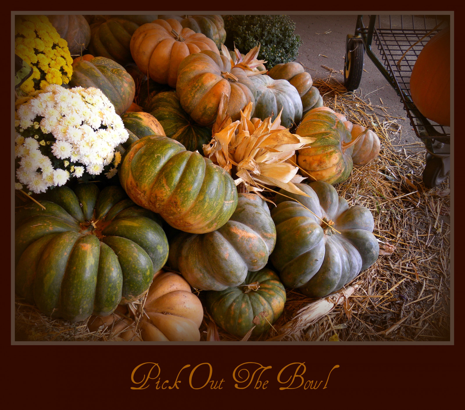 Wallpaper orange, brown, white, black, green, yellow, pumpkins