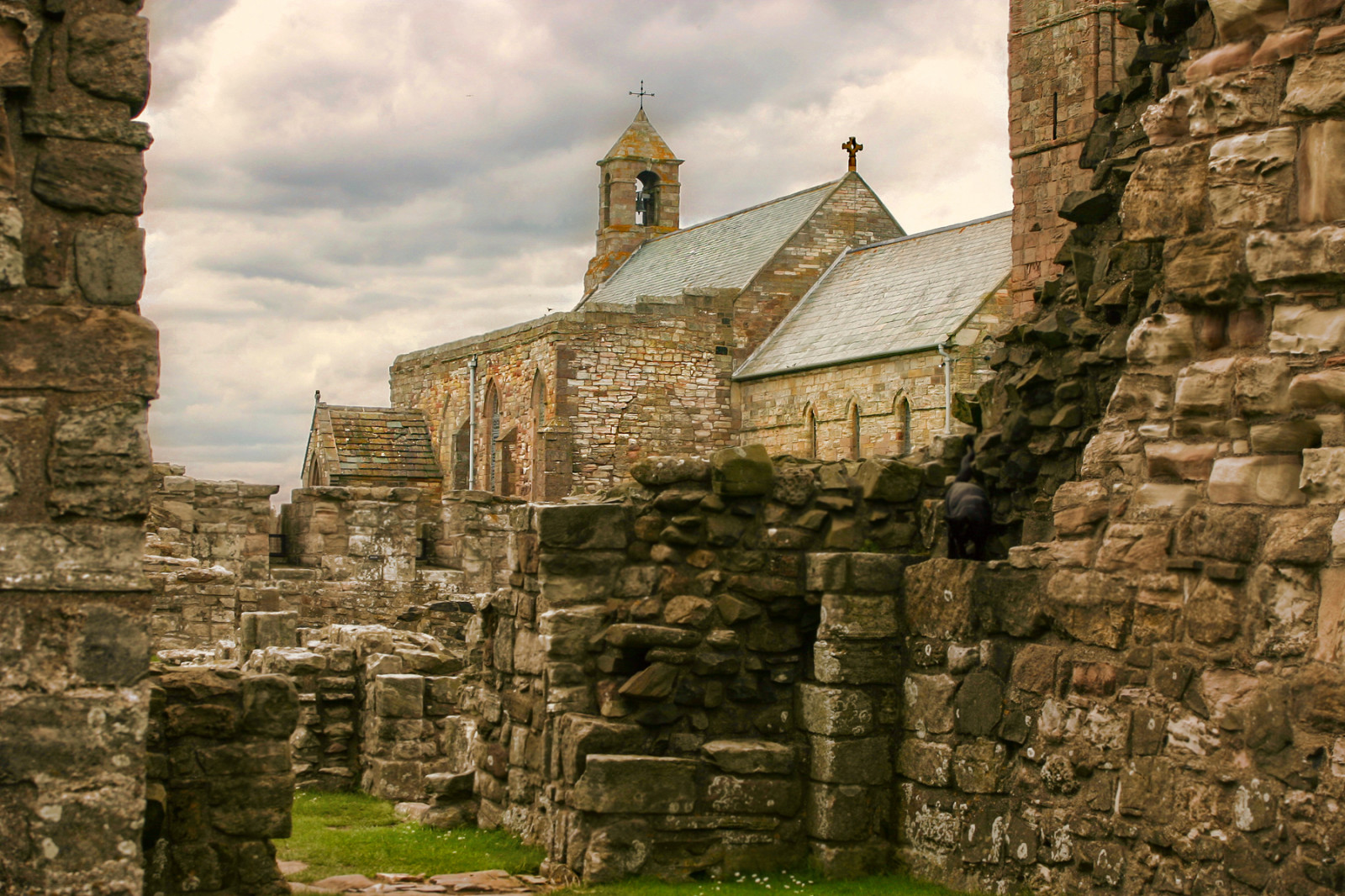 Skála, budova, zřícenina, nebe, stěna, Anglie, vesnice, dějiny, ostrov, zatažený, kostel, muzeum, zřícenina, Opatství, strom, den, budovy, canoneos, fasáda, dávná historie, historické místo, archeologické naleziště, místo uctívání, středověk, vznešený domov, kamenná zeď, holyisland, northernengland, středověká architektura