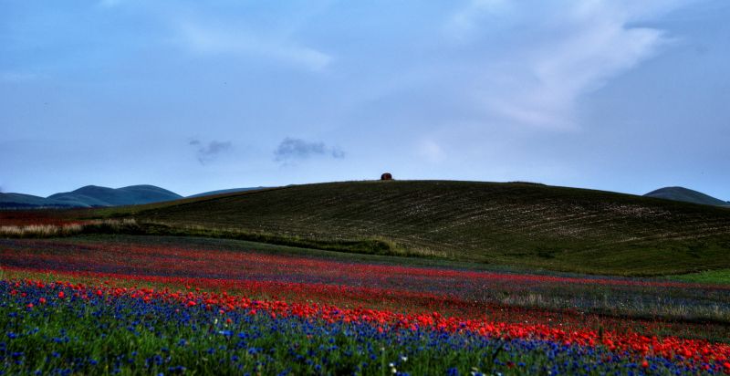 landscape, hill, nature, grass, sky, field landscape, hill, nature, grass, sky, field