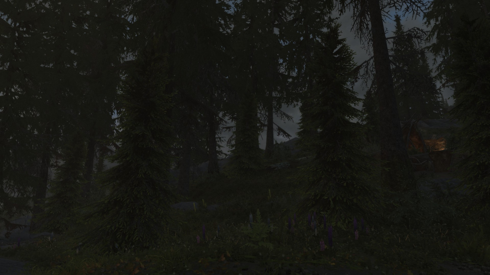 แสงแดด, ป่า, วีดีโอเกมส์, กลางคืน, ธรรมชาติ, สาขา, เช้า, หมอก, เรียบร้อย, Elder Scrolls V Skyrim, ถิ่นทุรกันดาร, เบา, ต้นไม้, ใบไม้, ความมืด, ภาพหน้าจอ, ป่าไม้, ถิ่นที่อยู่, สภาพแวดล้อมทางธรรมชาติ, ปรากฏการณ์บรรยากาศ, ไม้ยืนต้น, คุณลักษณะทางภูมิศาสตร์, ระบบนิเวศ, ป่าสนอ้อมกอด, Biome