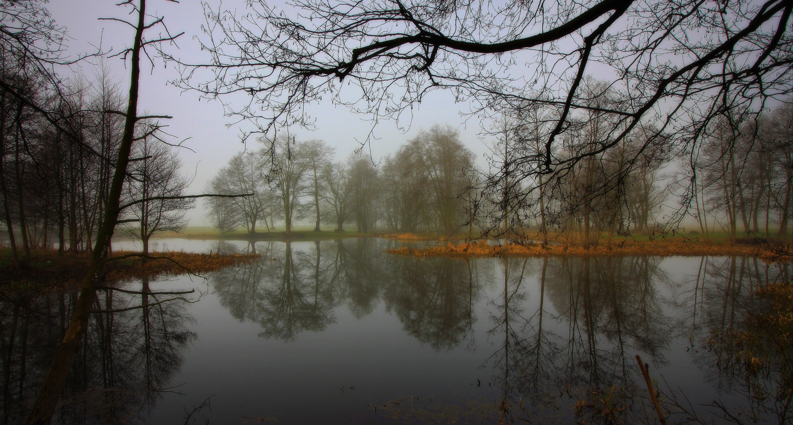 stromy, krajina, les, jezero, voda, Příroda, odraz, zima, větev, ráno, mlha, řeka, Kánon, rybník, mokřadní, strom, scenérie, podzim, mlha, list, rostlina, sezóna, zálesí, Drohiczyn, Cesarz, marcelxyz, místo výskytu, přírodní prostředí, atmosférický jev, dřevina