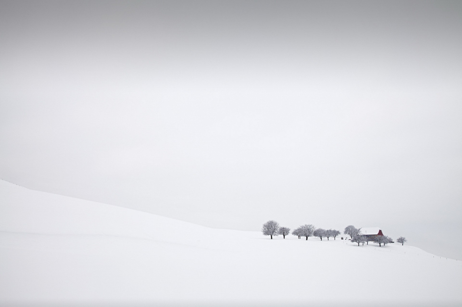Landschaft, Weiß, einfarbig, Schnee, Nebel, Wetter, gestalten, Flügel, Atmosphärisches Phänomen, Atmosphäre der Erde, Schwarz und weiß, Monochrome fotografie