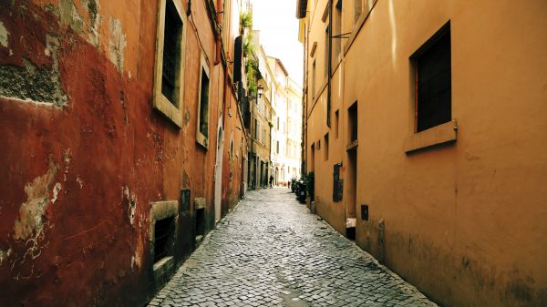 window,building,infrastructure,road surface,wood,fixture