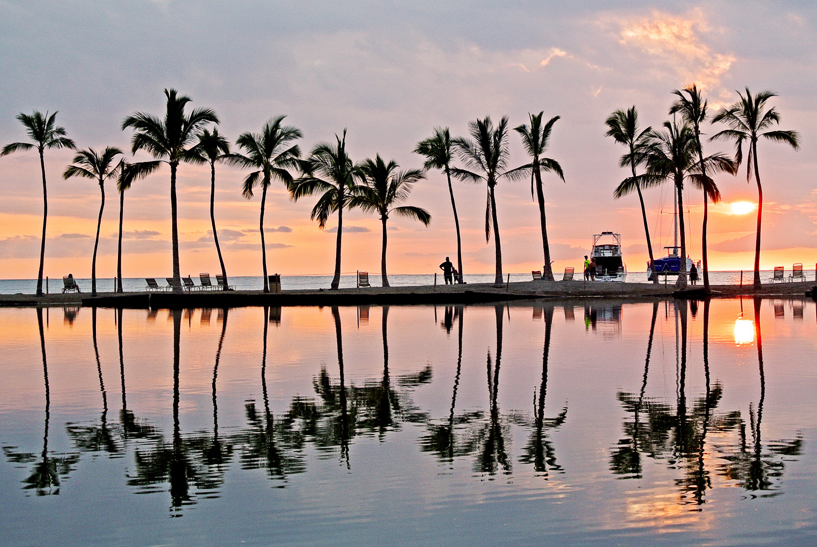 stromy, západ slunce, moře, jezero, voda, odraz, nebe, svítání, uklidnit, žlutý, modrý, večer, ráno, oranžový, horizont, tropický, letní, soumrak, růžový, Hawaii, dovolená, Pacifik, strom, svítání, rostlina, oceán, ráj, kokosový ořech, smět, dlaněmi, arecales, palma, havajský