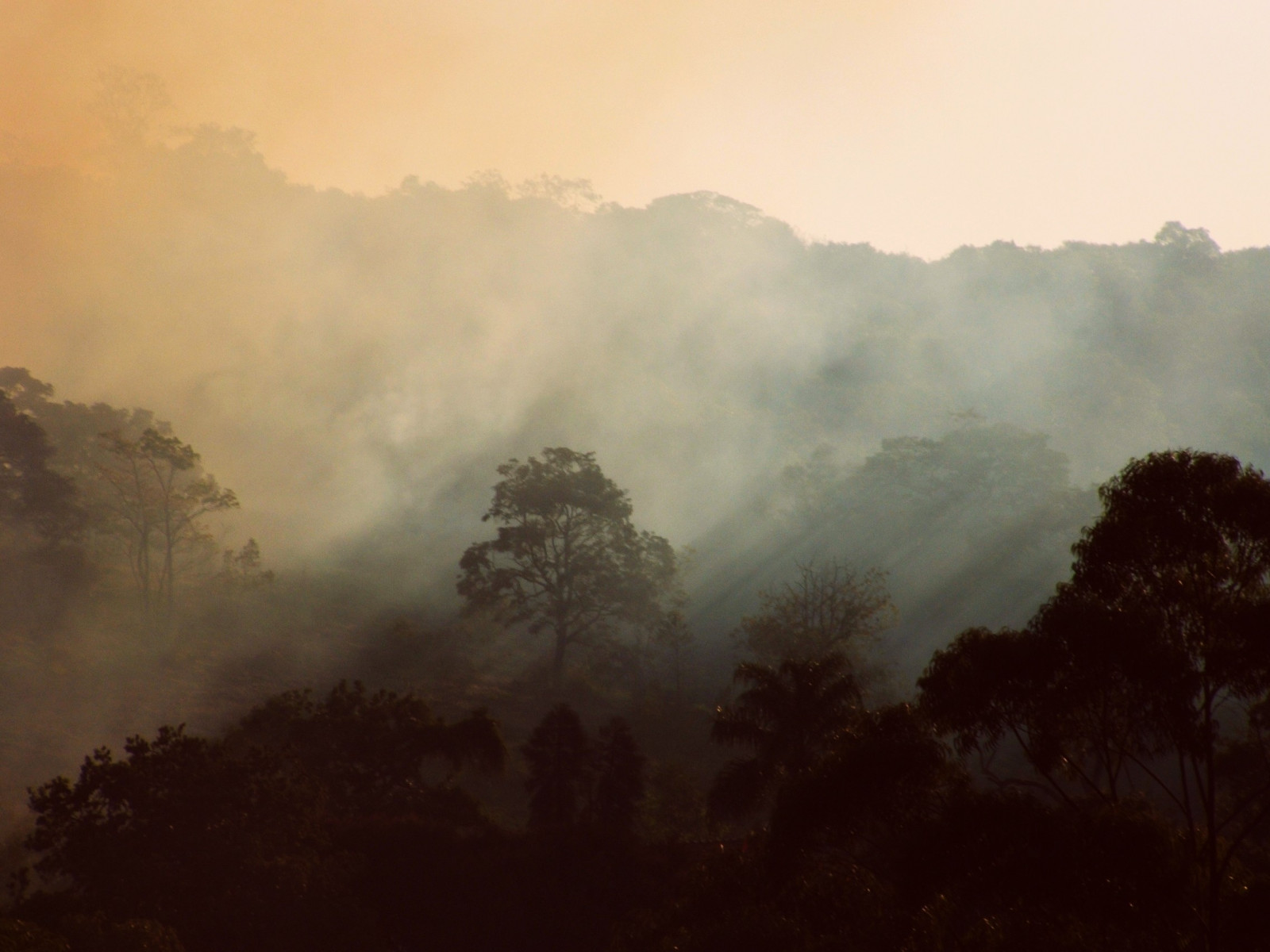 slunečnímu záření, krajina, les, kopec, tráva, nebe, kouř, svítání, večer, ráno, mlha, horizont, atmosféra, národní park, opar, mrak, strom, mlha, hora, svítání, natureza, mato, vysočina, venkov, Atmosféra Země, stanice hill, meteorologický jev, mata, Fumaça, hořící keř, Queimada, Desmatamento, Raiossolares