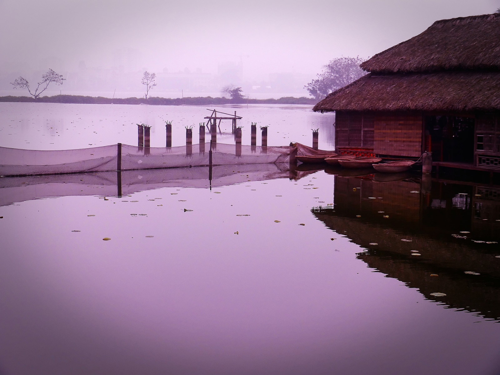moře, ulice, jezero, voda, odraz, nebe, Dům, uklidnit, modrý, večer, ráno, mlha, řeka, atmosféra, život, soumrak, Vietnam, rybolov, purpurová, sítě, Hanoi, strom, mlha, svítání, lodě, střecha, trojky, lumix, jev, západní jezero