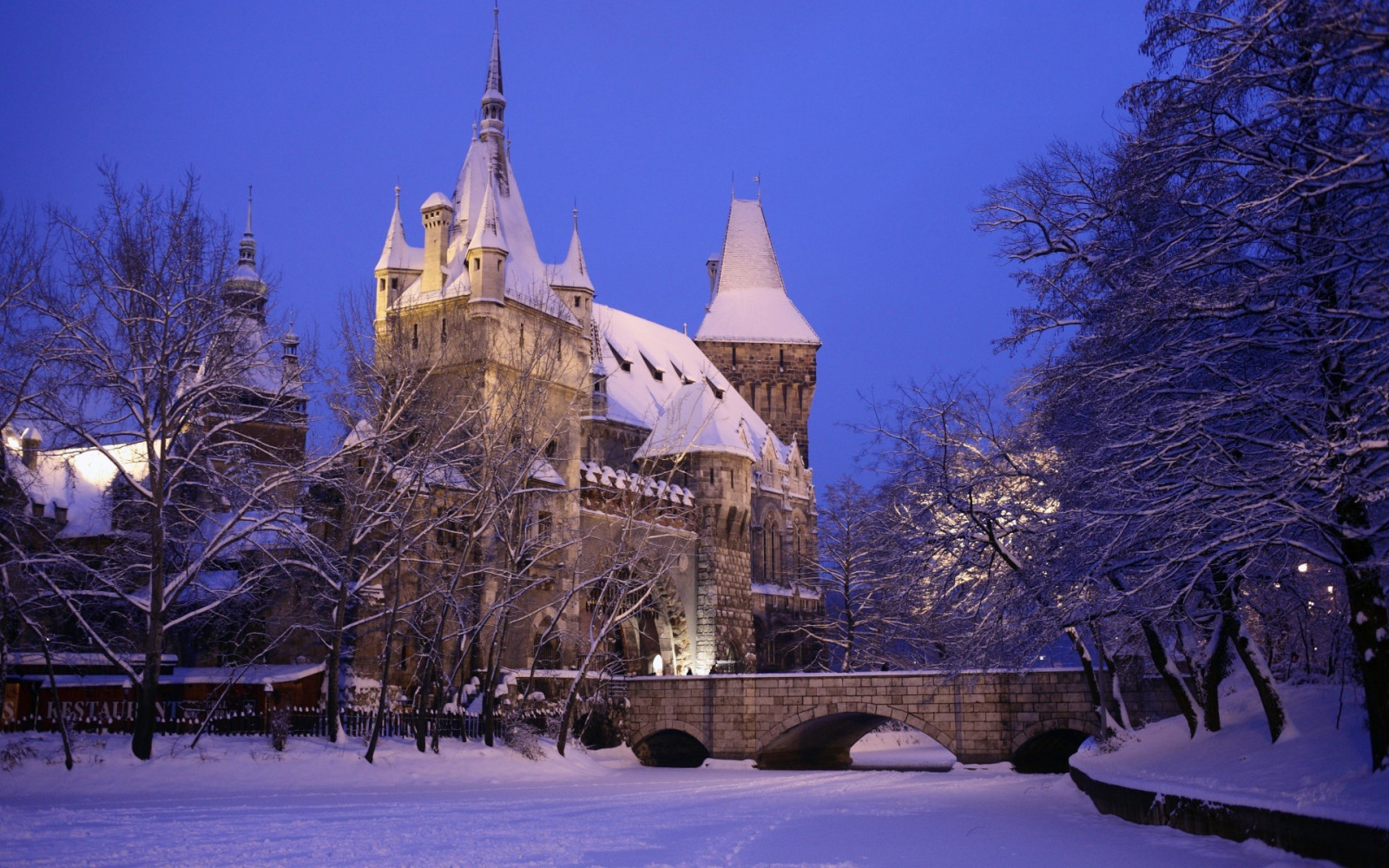 drzewa, światła, Miasto, Pejzaż miejski, noc, architektura, budynek, śnieg, zimowy, gałąź, spokojna, wieczór, zamek, wieża, most, kapitał, stary budynek, Budapeszt, Węgry, drzewo, pogoda, pora roku, miejsce kultu