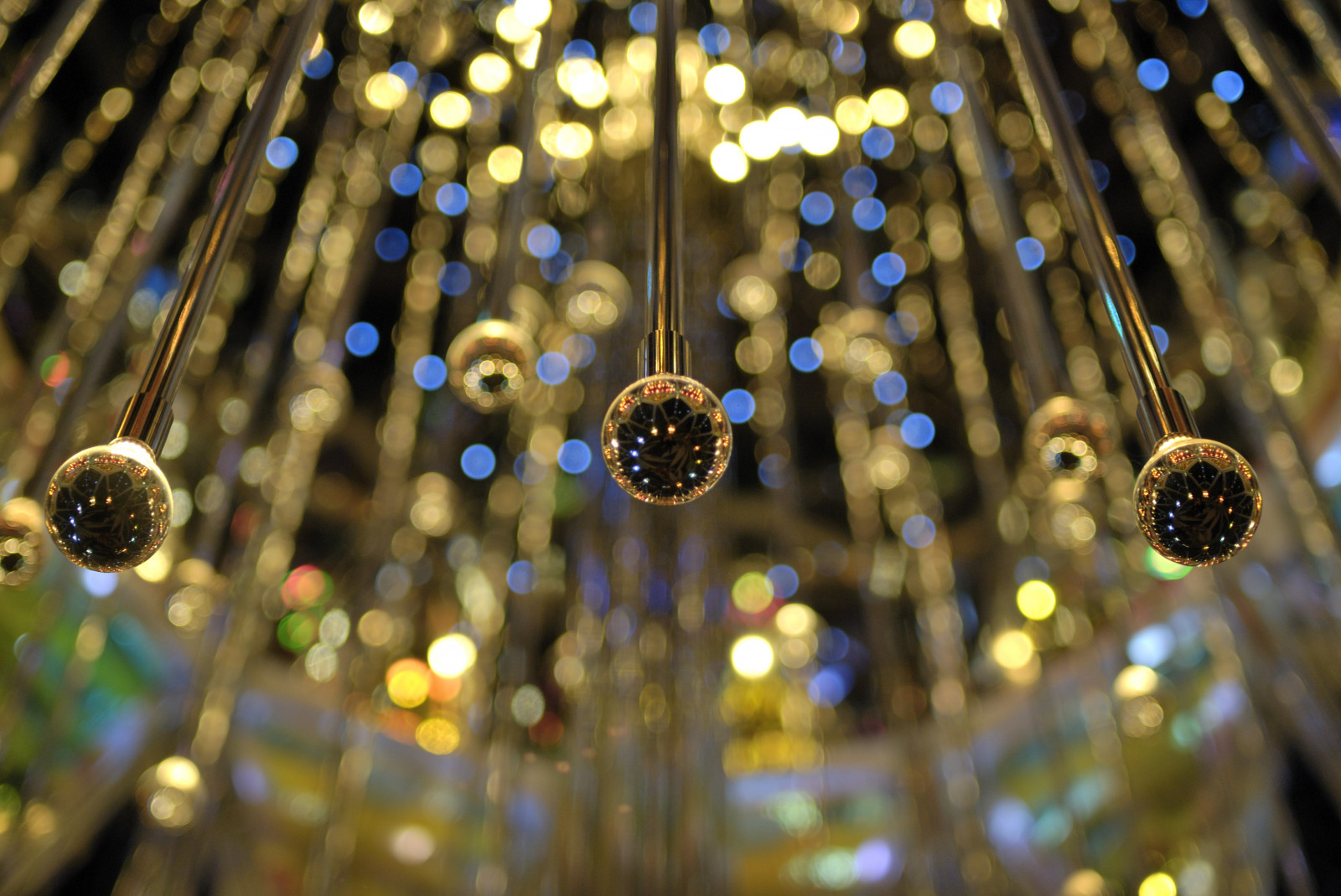 noc, větev, modrý, Vánoční strom, Vánoce, bokeh, zlato, Dovolená, Vánoční osvětlení, ornament, Tokio, událost, Ultron, světlo, strom, procházka, prozkoumat, Vánoce, osvětlení, Roppongi, tokyomidtown, akasaka, výzdoba, Voigtlander, 40mm, počítač tapeta, vánoční dekorace, D60, Ehbd