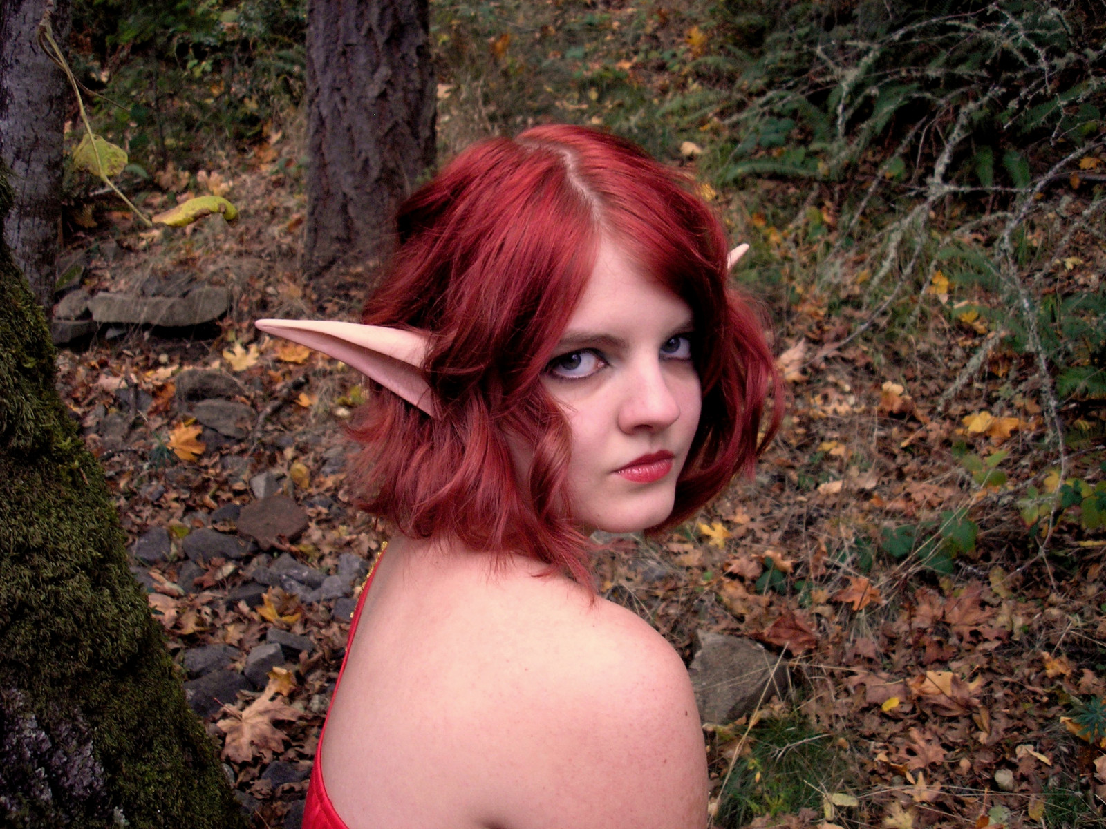 Goofy, cosplay, dlouhé vlasy, tráva, předvečer Všech svatých, černé vlasy, vlasy, skřítek, Válečné řemeslo, Potopa, strom, podzim, list, rostlina, dívka, oko, kostým, elf, blbeček, svět války, hnědé vlasy, člověk barva vlasů, barvení vlasů, zrzavé vlasy, hloupý, video hra, nerdy, costuming, gamergirl, halloweencostumes, šťastný Halloween, Belf, Azeroth, Sama sebe, Cosplaycostume, Krve, Silvermooncity, Gamergirls, Falconwingsquare, Newbiebloodelf