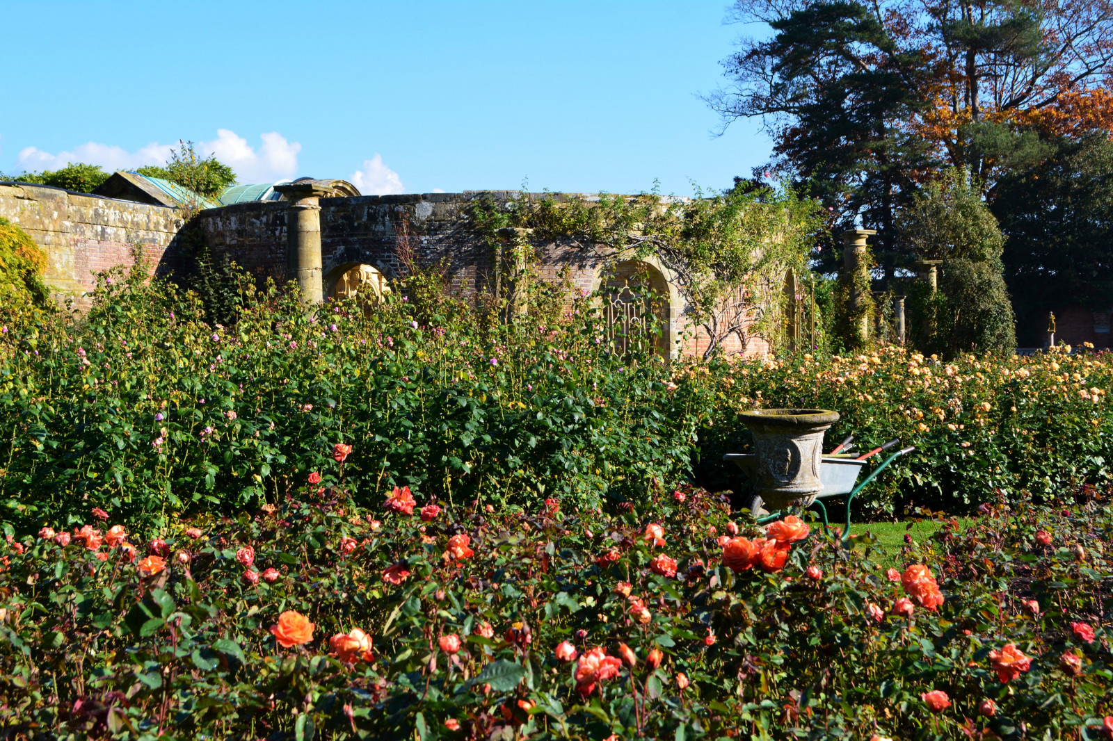 3600x2400 px, castello, Inghilterra, giardini, Hever, natura, Rose, arbusti