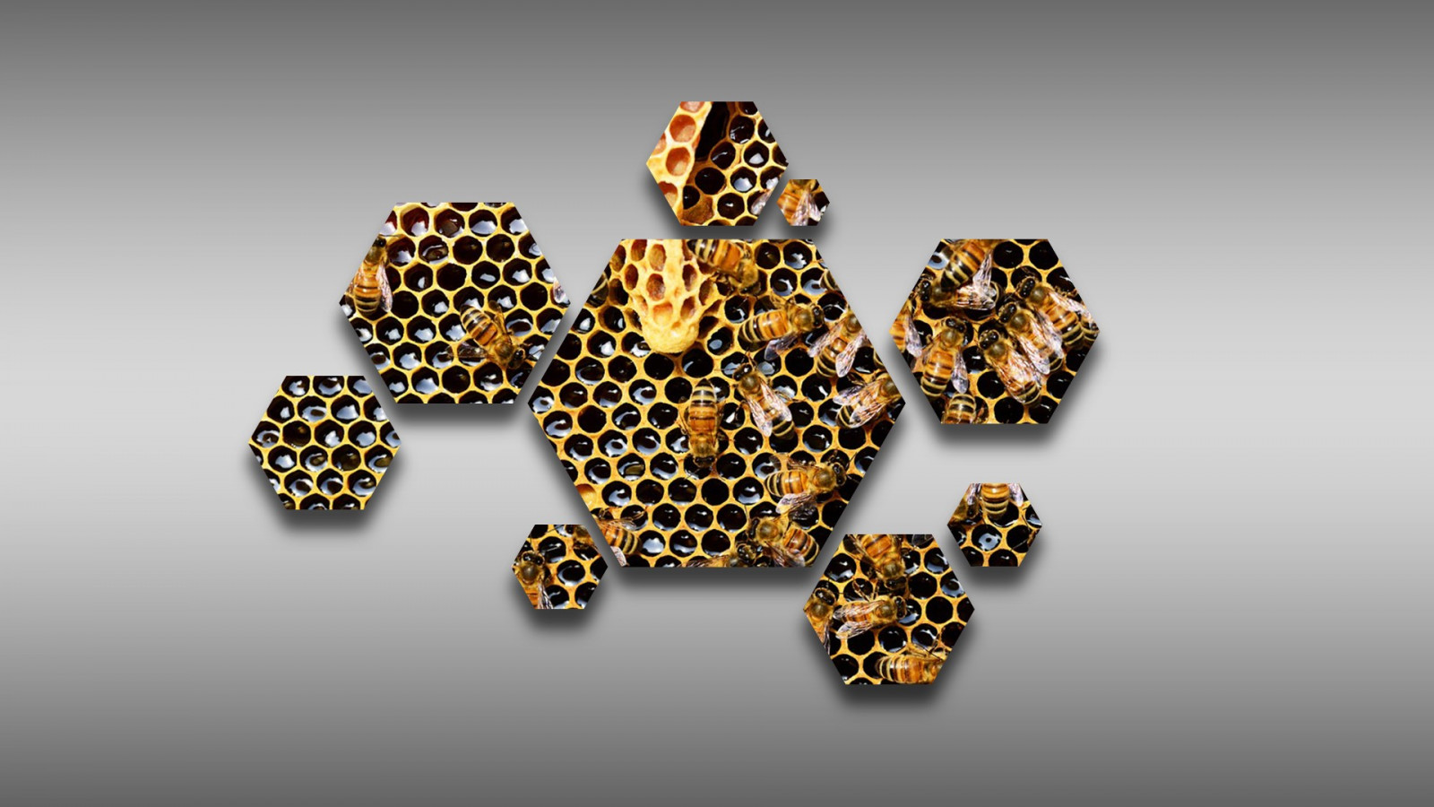 Wallpaper : 1920x1080 px, beecube, beehive, bees, hexagon, hive, honey, honeycombs 1920x1080 - goodfon - 1263385 - HD Wallpapers - WallHere