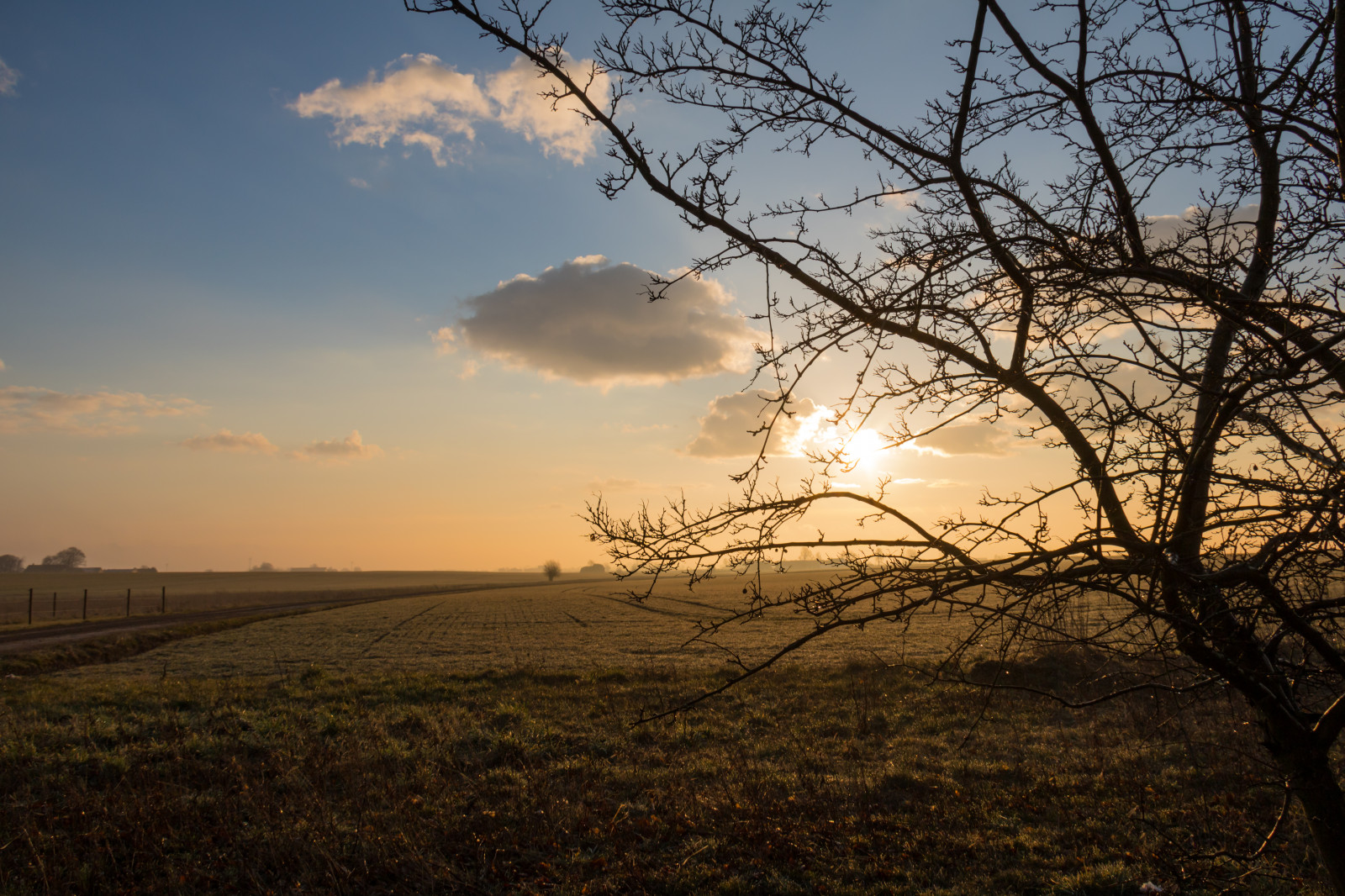 sollys, landskab, solnedgang, bakke, natur, græs, himmel, Mark, afdeling, solopgang, aften, morgen, Sol, horisont, skumring, Sky, træ, efterår, blomst, daggry, plante, himmel, landskabet, Moln, landsbygd, landskap, Morgon, almindeligt, prærie, landdistrikt, atmosfærisk fænomen, vedplante, græs familie, savanne