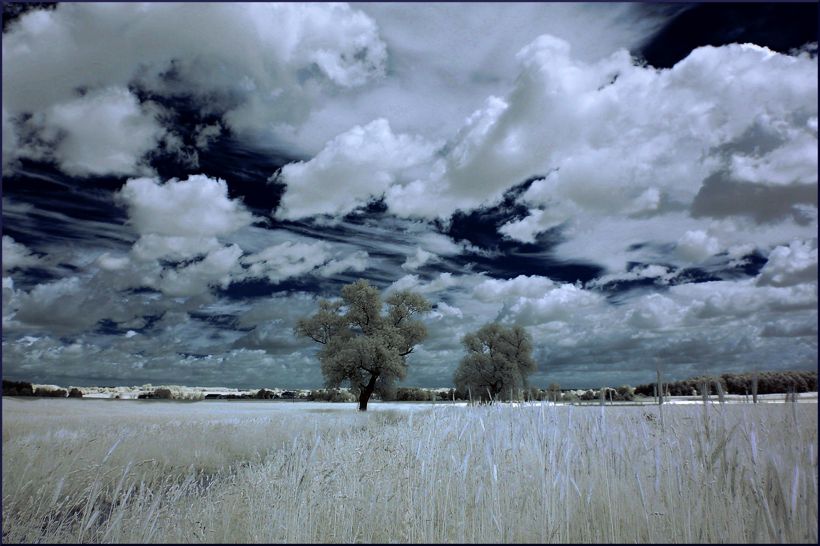 krajina, odraz, nebe, sníh, zima, pole, mraky, mráz, vítr, zmrazení, Infračervený, mrak, strom, počasí, ir, Drohiczyn, Cesarz, marcelxyz, nikon50d, podczerwie, atmosférický jev