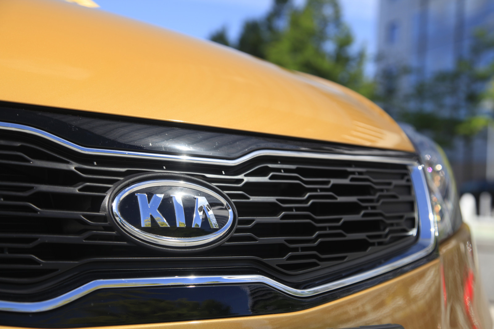 auto, vozidlo, 2013, Kia, netcarshow, netcar, obrázky vozidel, photo auto, Pro Ceed EcoDynamics, pozemní vozidla, automobilového designu, automobilový exteriér, automobil make, nárazník, kompaktní vůz, crossover sUV, sportovní užitkové vozidlo, subcompact auto, mřížka, střední velikost auta, Kompaktní sportovní užitkové vozidlo, motory kia