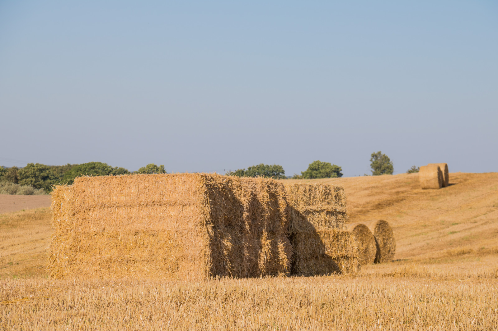 krajina, jídlo, pole, sláma, seno, step, scenérie, lučina, rostlina, venkov, landsbygd, landskap, exif modelu canoneos760d, geocountry, Kamera aby kánon, geocity, Model fotoaparátu canoneos760d, geostate, geolocation, EXIF čočka efs18200mmf3556is, exif aby kánon, EXIF isospeed 100, EXIF otvor 80, exif focallength 90mm, stéblo, zemědělství, prostý, prérie, oříznutí, půda, venkov, ekosystém, tráva rodina, badlands