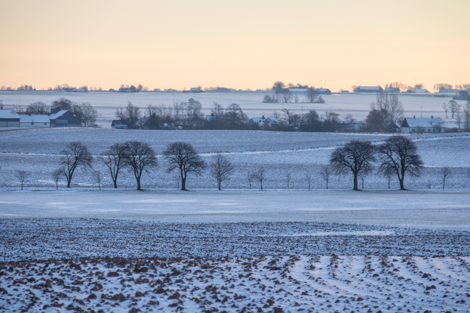 krajina, sníh, zima, svítání, led, ráno, mráz, Arktický, zmrazení, počasí, sezóna, sn, Vinter, venkov, landsbygd, soluppg ng, s dersl tt, landskap, morgon, vánice, atmosférický jev, zimní bouře