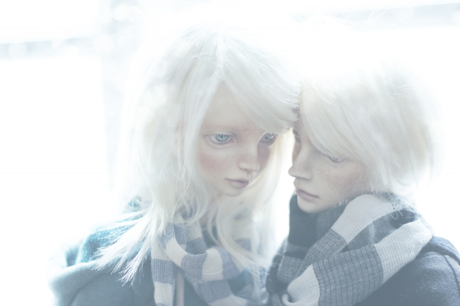 portrét, dlouhé vlasy, vlasy, nos, přepínač, hlava, dívka, krása, oko, fotografie, blond, bílé vlasy, BJD, člověk barva vlasů, jmelí, shiho, samolus, soseo, lylypie