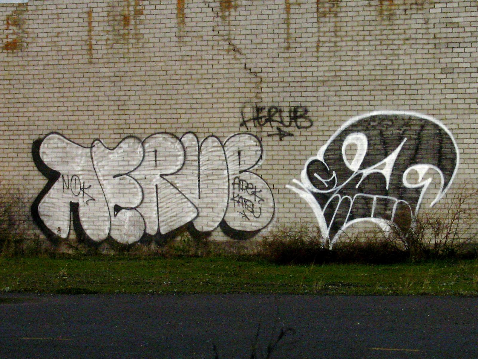 ulice, stěna, lebka, grafiti, pouliční umění, Seattle, sprej, UMĚNÍ, plocha, malovat, font, katsu, tak udělej, aerub