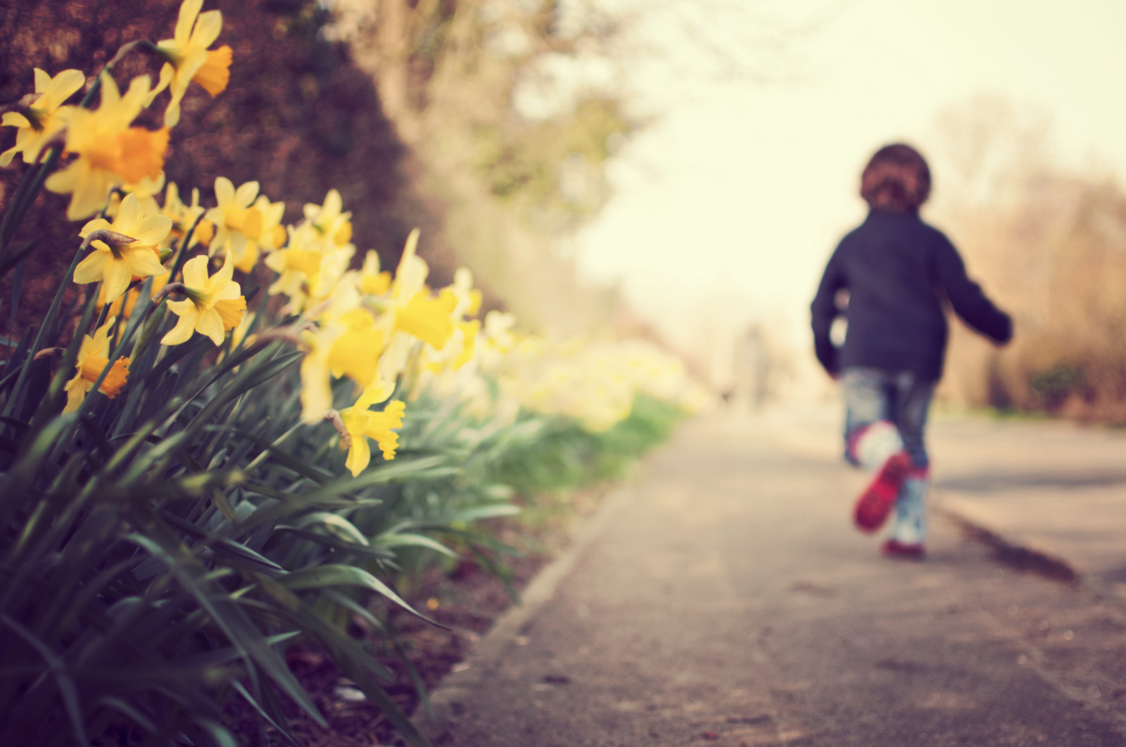 gul, fotografi, natur, plante, Person, hvirveldyr, blad, blomst, forår, morgen, fotografering, himmel, træ, sollys, sjovt, pige, rekreation, barn, efterår, græs, lykke, aften, landskab, skygge