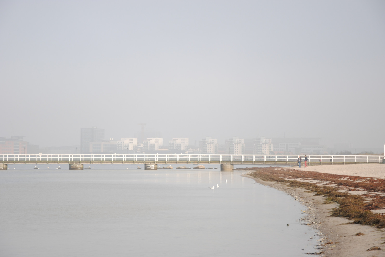 moře, záliv, voda, pobřeží, sníh, zima, pláž, panoráma, ráno, mlha, pobřeží, most, řeka, horizont, molo, Švédsko, chodník, opar, mlha, počasí, oceán, vlna, Ribersborg, ribban, pramen, Malmo, dřevěný, vstrahamnen, atmosférický jev, tělo z vody, vlnolam, mělčina při ústí řeky