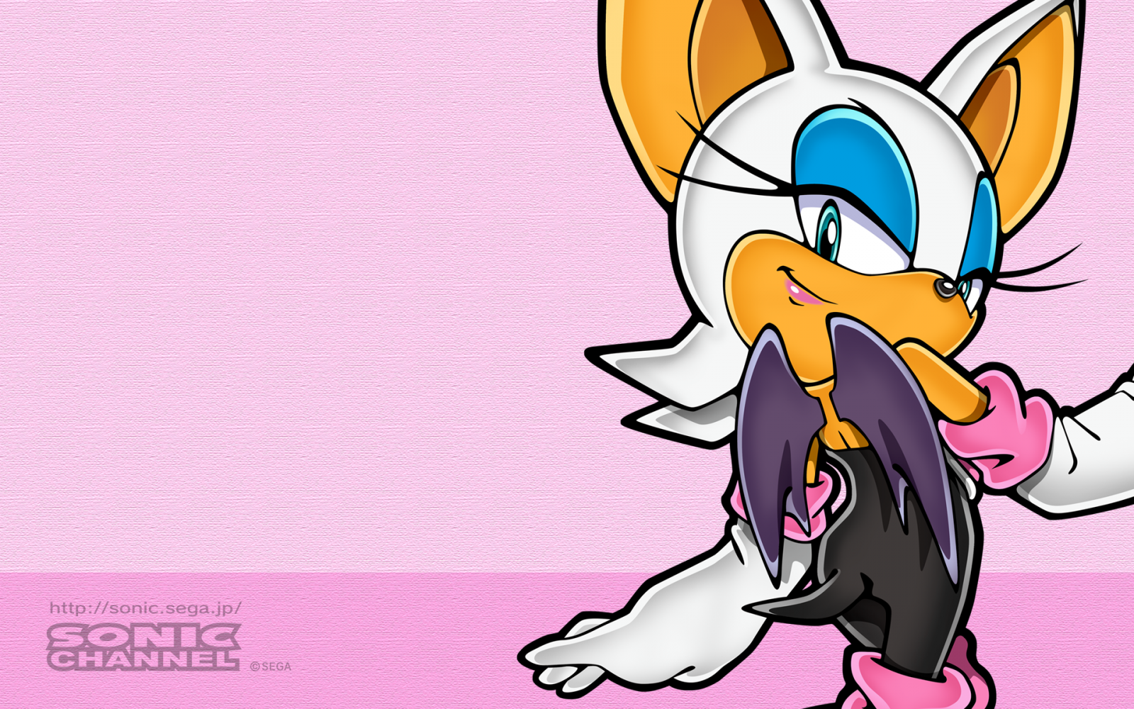 ilustrace, kůň, kreslená pohádka, Sonic the Hedgehog, Sega, poník, Rouge Bat, savec, kůň jako savci