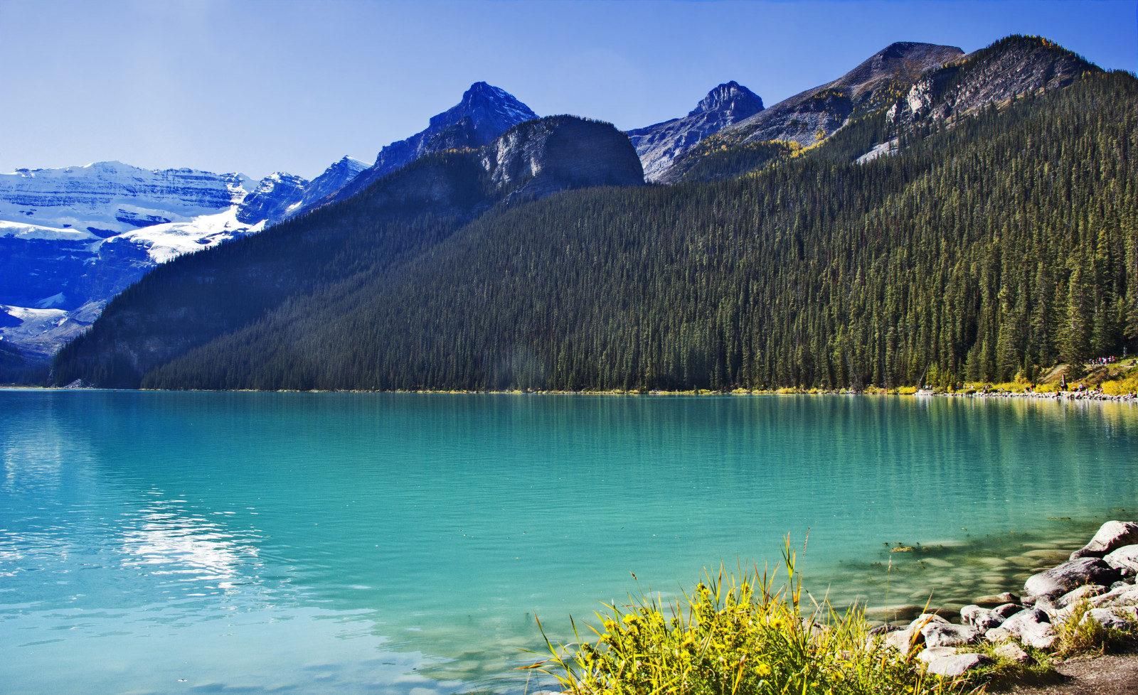 stromy, krajina, les, podzim, hory, záliv, jezero, voda, Příroda, pobřeží, odraz, nebe, rostliny, sníh, pláž, Země, led, slunce, Kánon, skály, národní park, fjord, divočina, Alpy, olistění, banka, mount scenérie, crater Lake, ledovcové jezero, světlo, Terén, mrak, strom, podzim, vrcholy, hora, odrazy, národní park, skály, nádrž, skalnaté hory, eos60d, pleso, ledovec, mountainlake, skály, pohoří, moréna, ledová landform, klesl, banffnationalpark, canadianrockies, davidsmith, calgaryalbertacanada, lakelouise, vodní zdroje