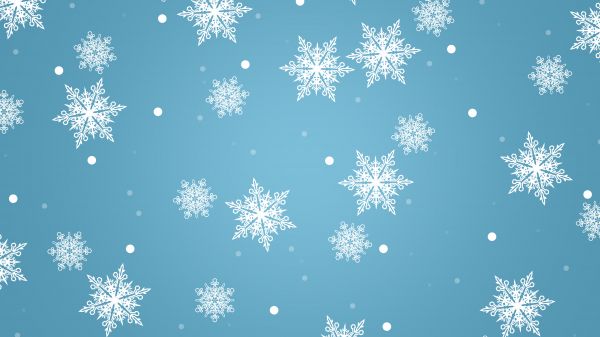 azure,nature,font,organism,aqua,symmetry