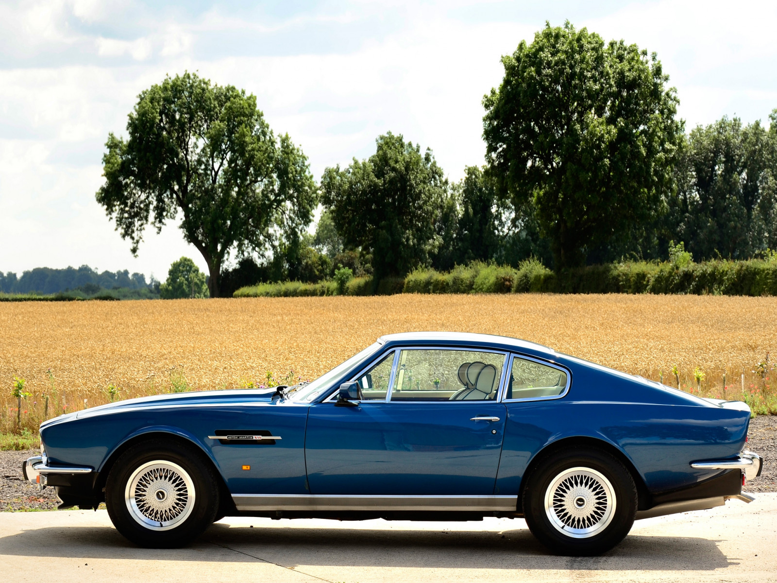 træer, bil, køretøj, blå, sidebillede, sportsvogn, Aston Martin, coupe, Cabriolet, ydeevne bil, 1972, retro, V8, superbil, salon, jord køretøj, bil make, luksus køretøj, Aston Martin v8, Aston Martin DB7