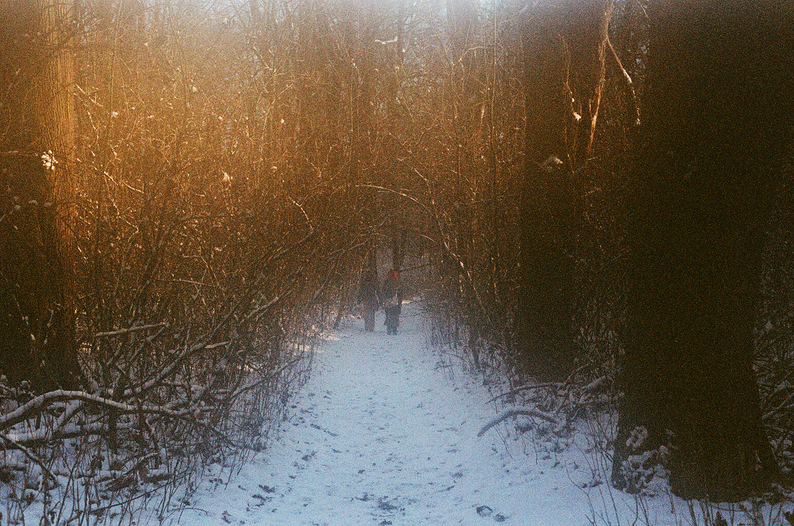 slunečnímu záření, stromy, les, lidé, voda, odraz, sníh, zima, žlutý, ráno, mlha, mráz, textura, zmrazení, světlo, mlha, počasí, sezóna, analogový, prošlý, atmosférický jev, pentaxsupera, Skřítek, smcpentaxa11750mm, déšť a sníh mísí, fujisuperia400