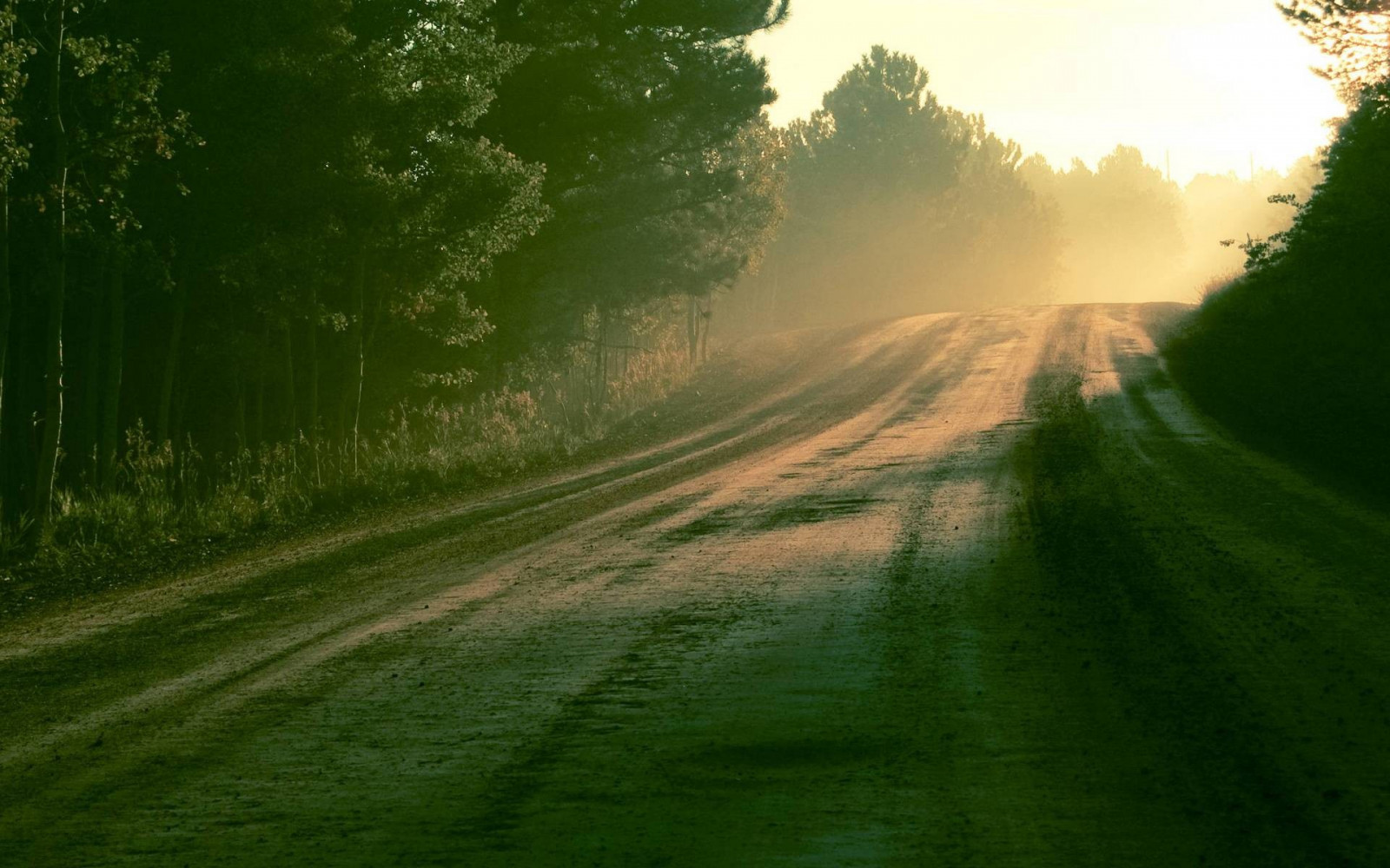 slunečnímu záření, krajina, les, kopec, Příroda, tráva, pole, silnice, fotografování, svítání, zelená, ráno, mlha, slunce, horizont, atmosféra, světlo, strom, mlha, list, svítání, lučina, rostlina, louka, trávník, venkov, místo výskytu, přírodní prostředí, atmosférický jev, počítač tapeta, dřevina