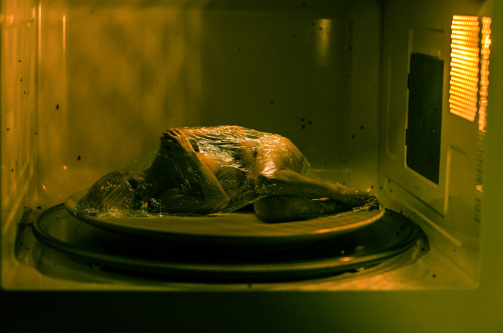 zátiší fotografování, organismus