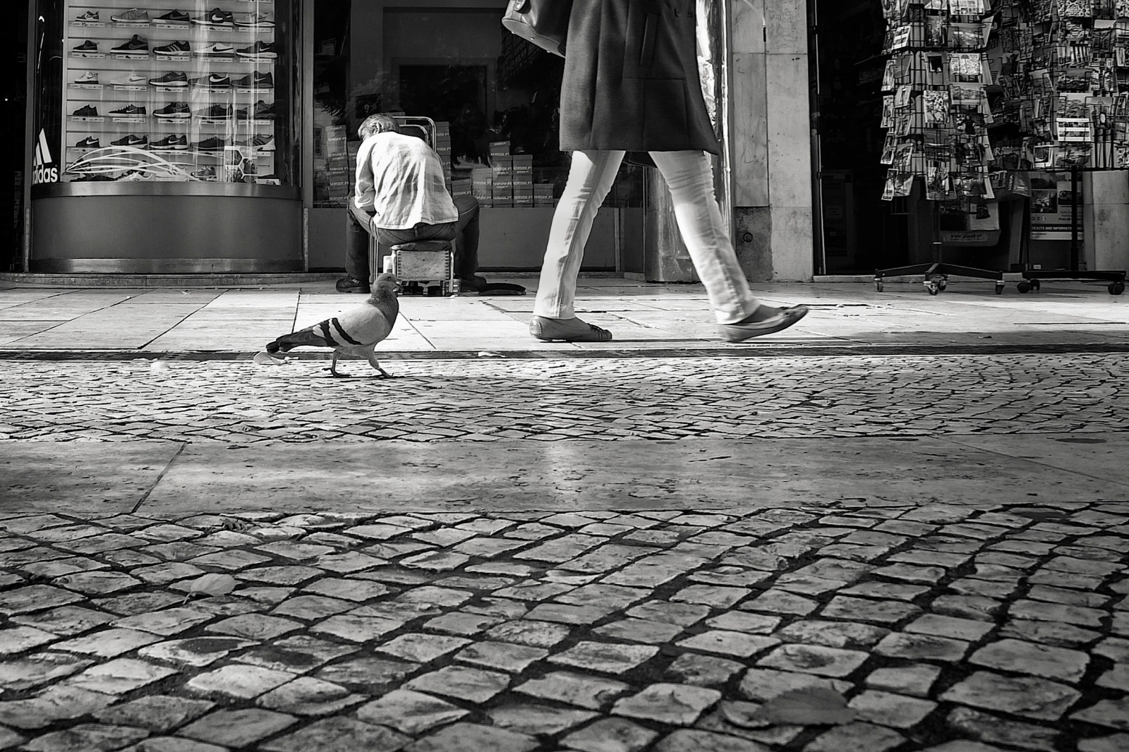 bílý, Černá, černobílý, 500px, město, ulice, dlažební kamen, stín, stěna, silnice, fotografování, fotograf, stojící, Lisabon, chůze, asfalt, přízemní, POV, Portugalsko, beton, Fujifilm, nízký, infrastruktura, pěší, světlo, centrum, flickr, zavřít, holub, Černá bílá, žena, patro, podlaha, dno, fotografie, streetphotography, upřímný, streetphotographer, chodník, střevíc, x10, fujifilmx10, momentka, urban area, Černý a bílý, monochromatické fotografování, podlaha, povrch vozovky, veřejný prostor, lowpov, místa k sezení, juststreet, fernandopc, Baixa, na zemi
