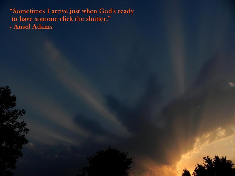 notte,luce del sole,tramonto,natura,cielo,sera