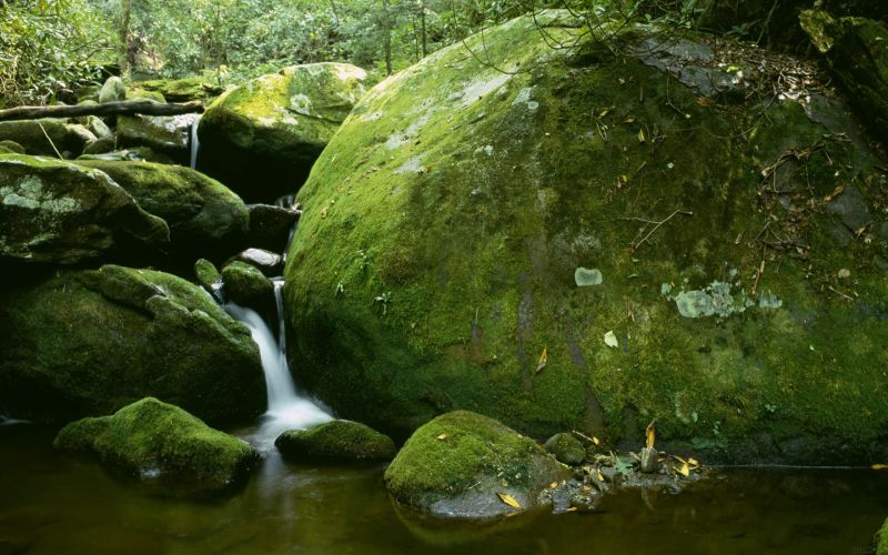 slunečnímu záření, les, vodopád, voda, Skála, Příroda slunečnímu záření, les, vodopád, voda, Skála, Příroda